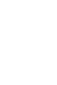 凤凰涅槃（1995-2002）